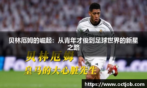 BB贝博ballbet