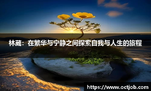 BB贝博