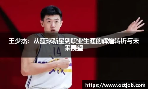 BB贝博登录入口